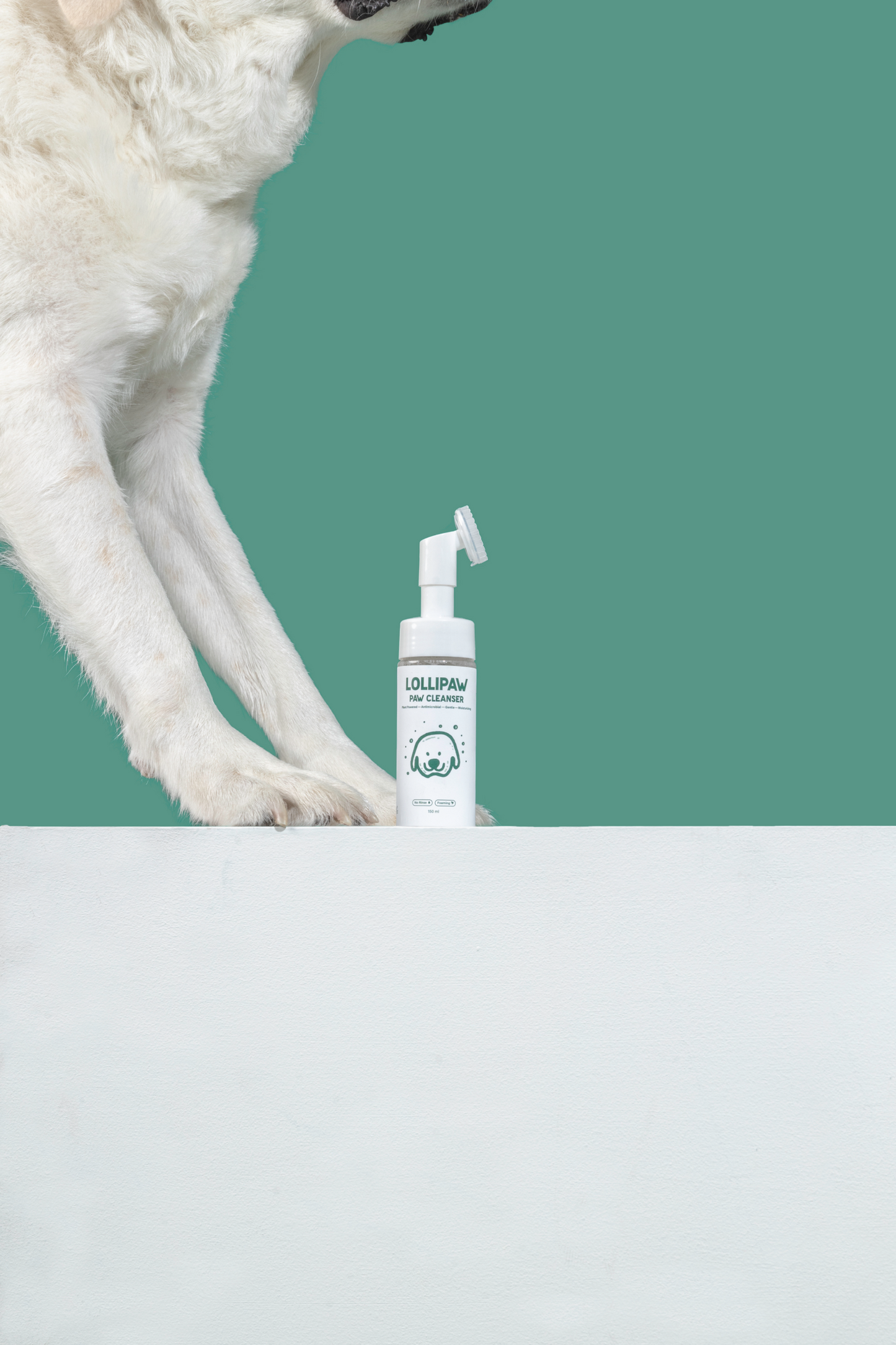 Over Kit Paw Care Essentials