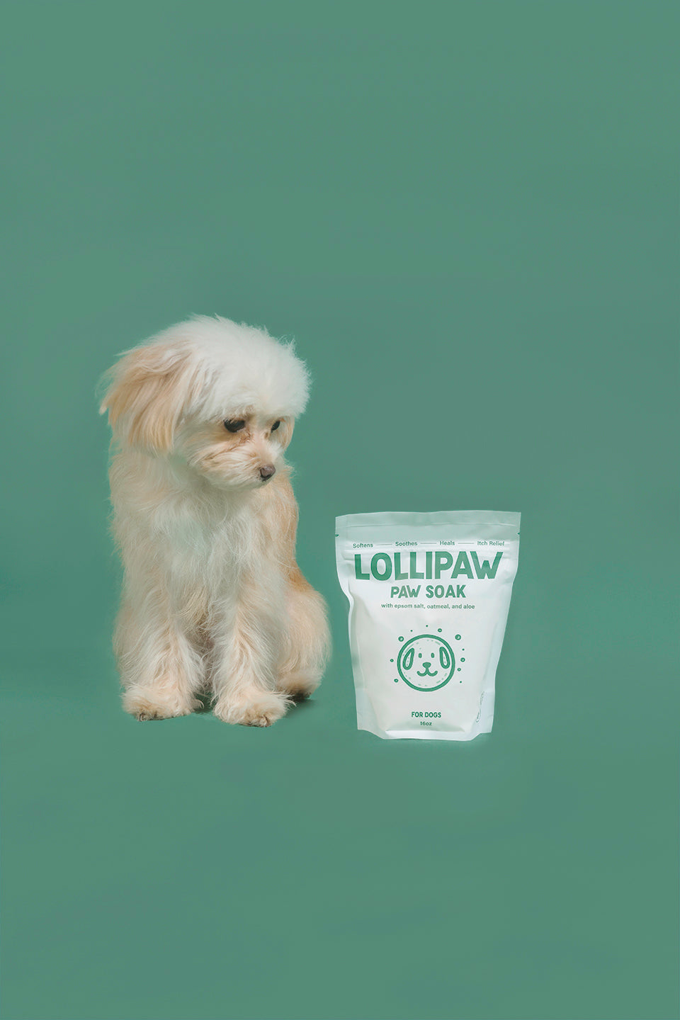 Over Kit Paw Care Essentials